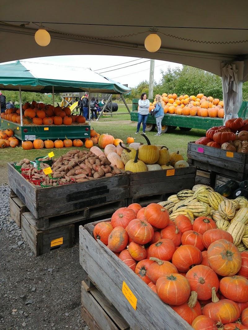 Potager Mont-Rouge Halte Gourmande | Verger & Boutique | Orchard & Boutique,cerisier,prunier,abricotier,jardin fruitier,CanaGuide,poirier,pommier,récolte,fruits,arboriculture,pépinière,plantation,arbre fruitier,Rougemont, Potager Mont-Rouge Halte Gourmande | Verger & Boutique | Orchard & Boutique - Verger à Rougemont (Quebec) | CanaGuide